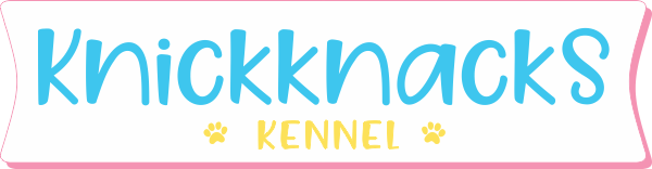 Knickknacks Kennel - Canil Yorkshire Biewer, Biro, Golddust, Chocolate e Black em Sorocaba